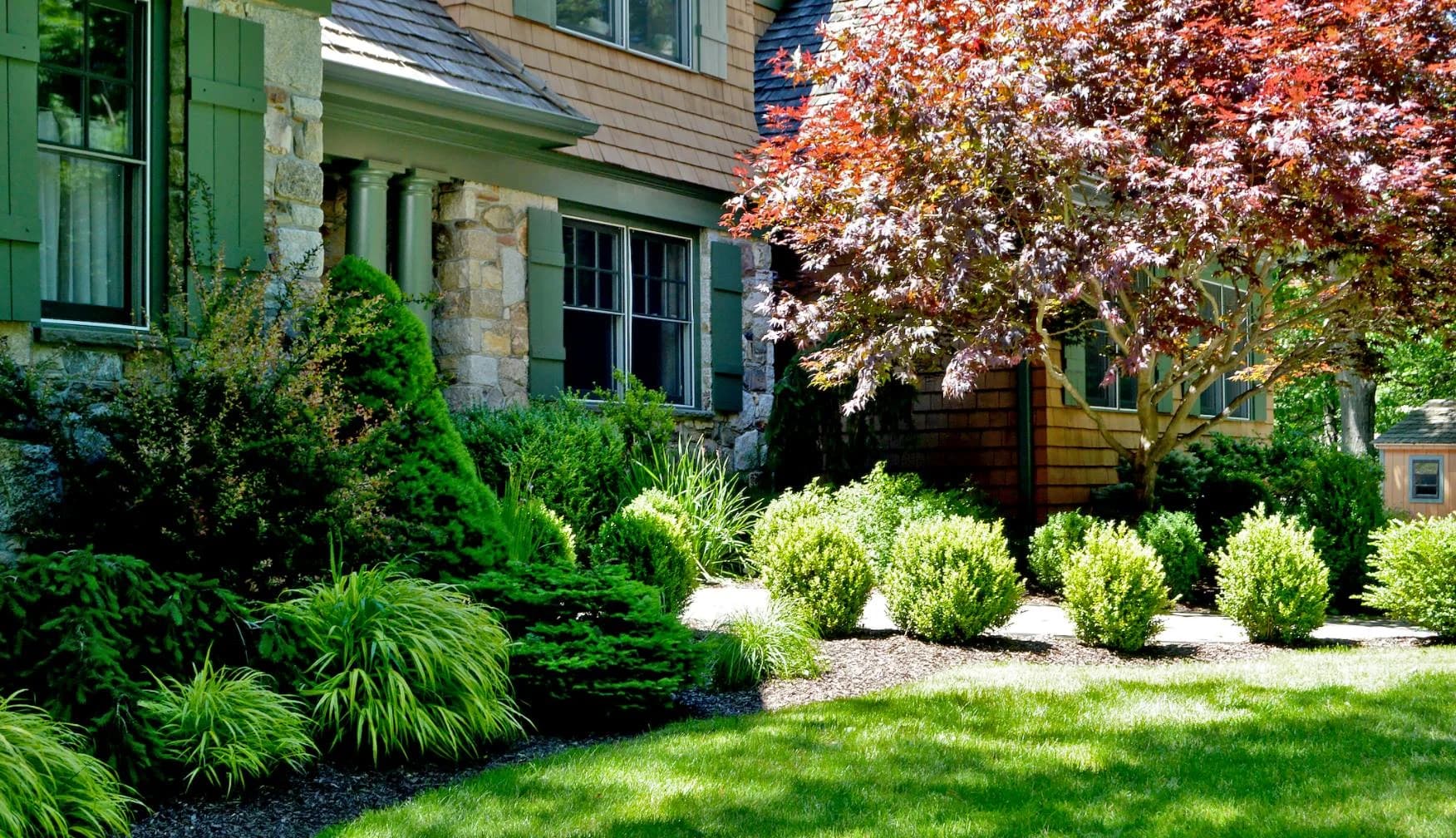 Tree & Shrub Planting Services in Clermont, GA