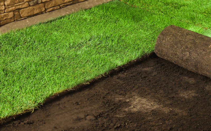 Sod Installation Services in Clermont, GA