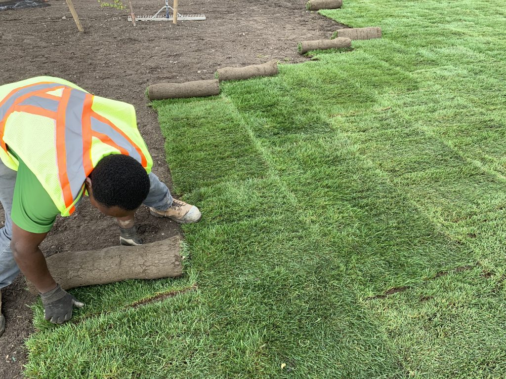 Sod Installation in Cumming project 1