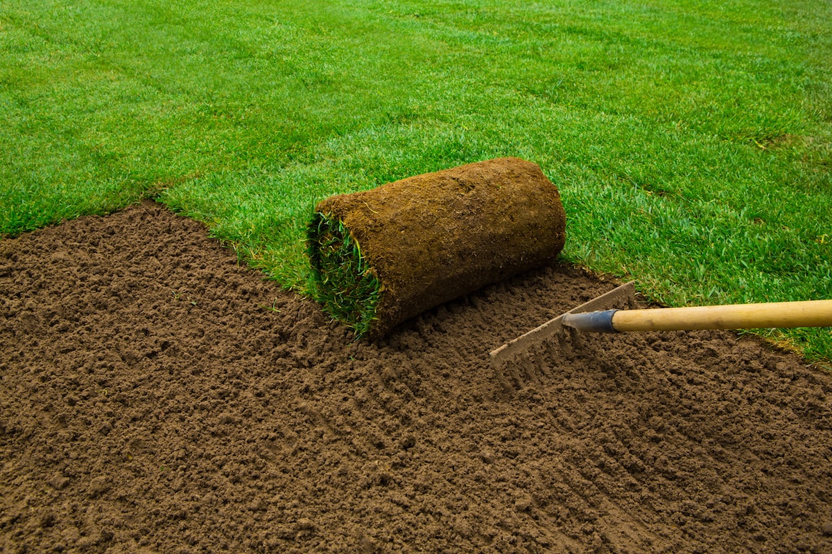 Sod Installation in Cumming project 2