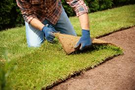 Sod Installation in Cumming project 3