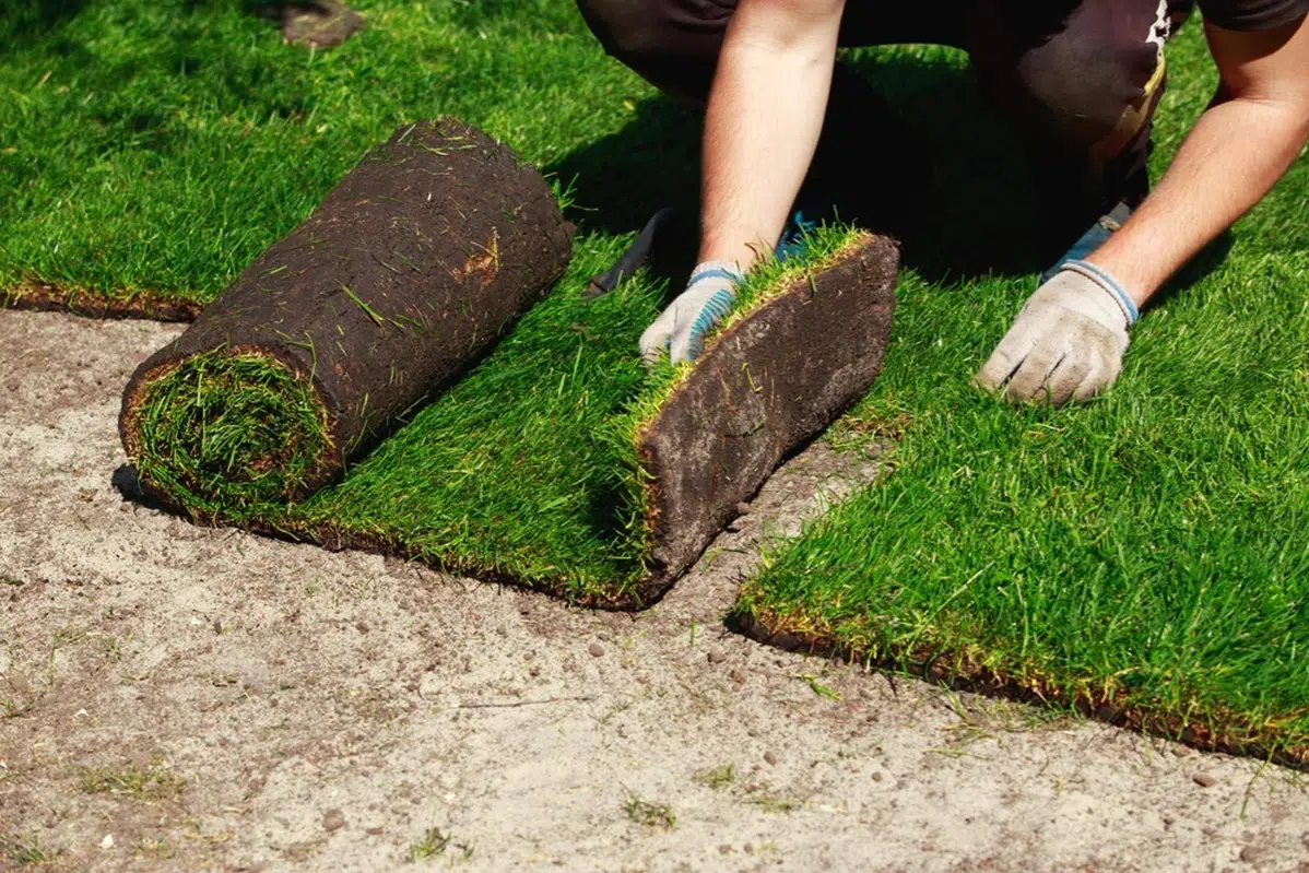 Sod Installation in Cumming project 4