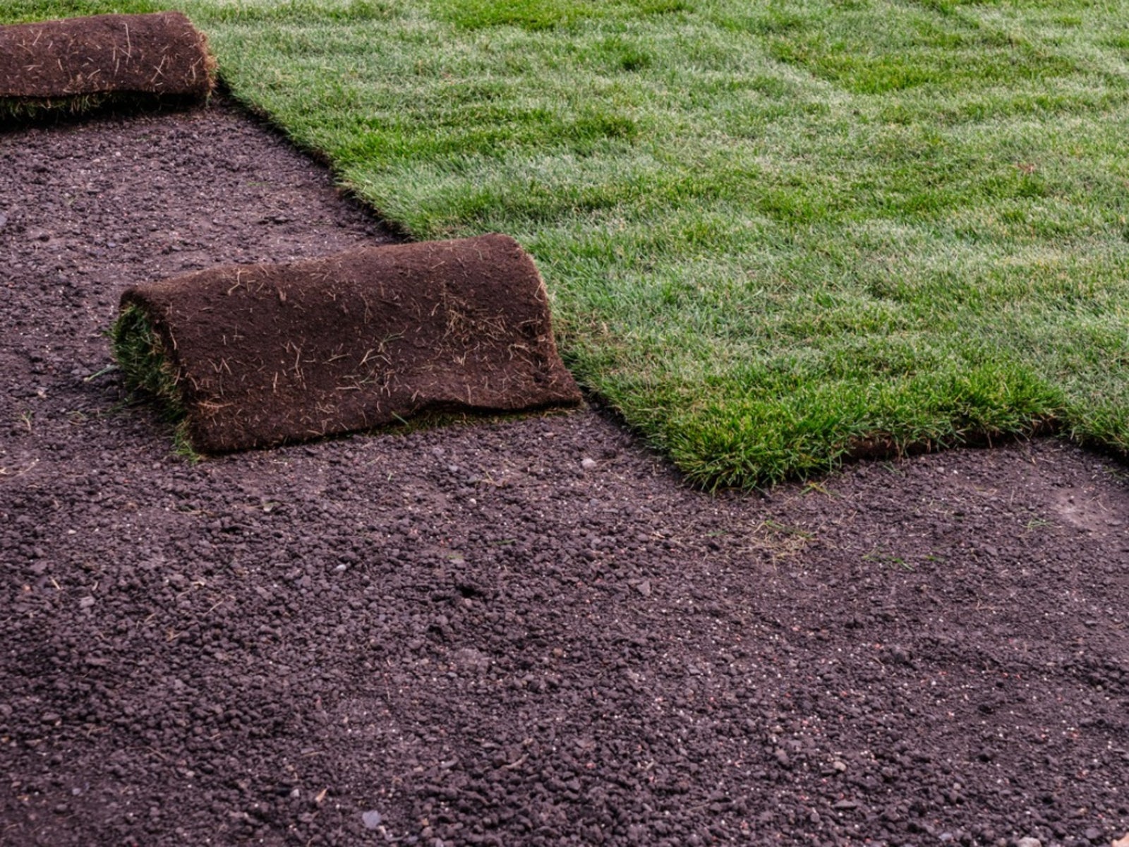 Sod Installation in Cumming project 5
