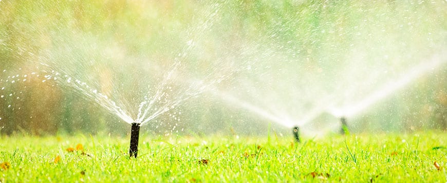 Irrigation System Installation in Cumming project 5