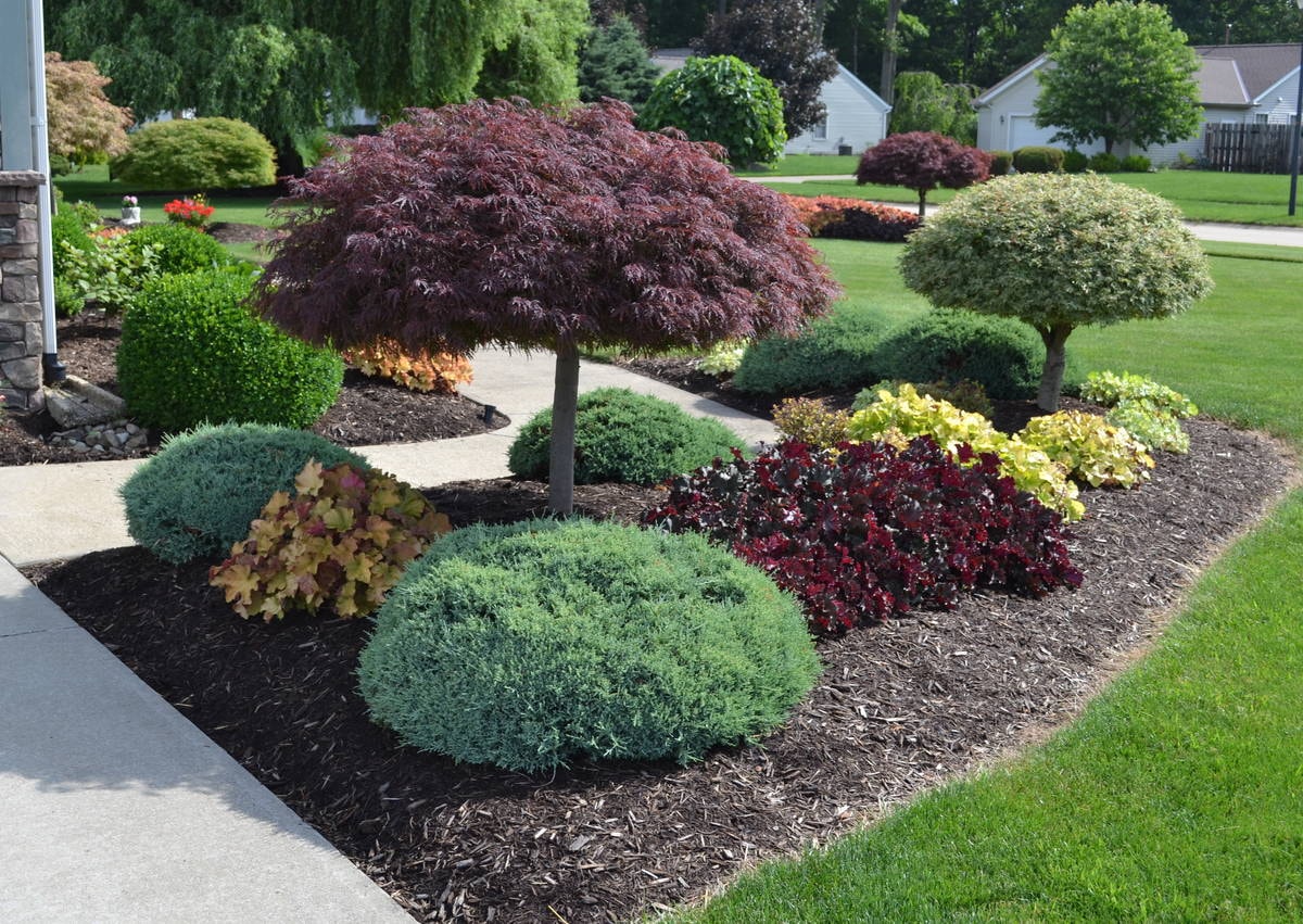 Landscape Design in Cumming project 6