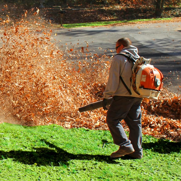 Leaf Removal in Cumming project 3