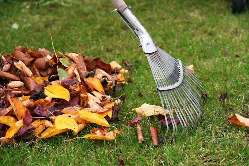 Leaf Removal in Cumming project 4