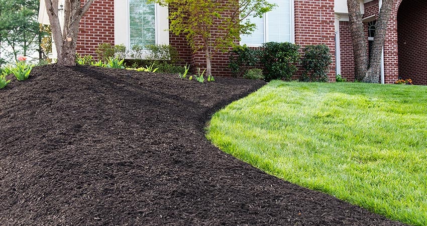 Mulch Installation in Cumming project 1