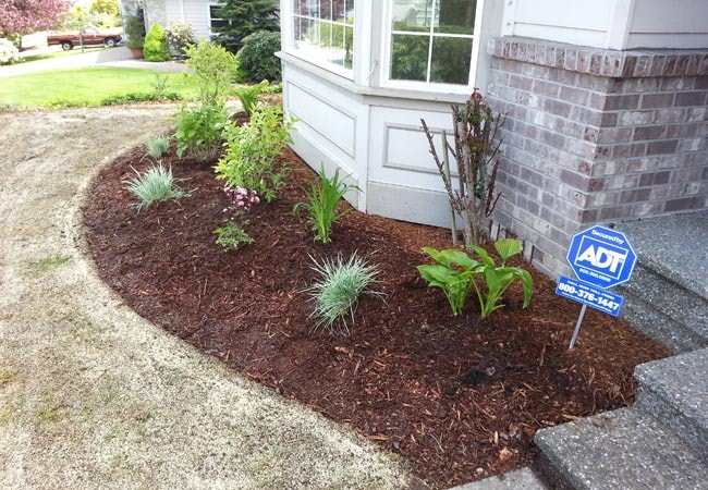 Mulch Installation in Cumming project 2