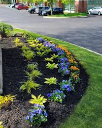 Tree & Shrub Planting in Cumming project 6